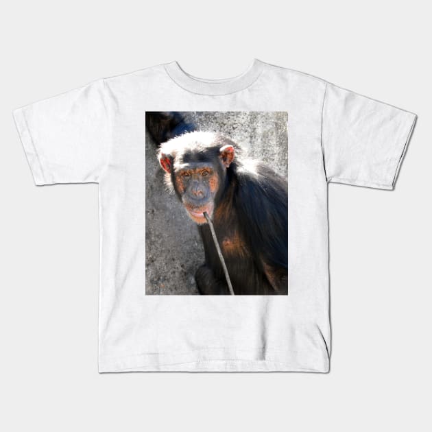 Chimpanzee Kids T-Shirt by kirstybush